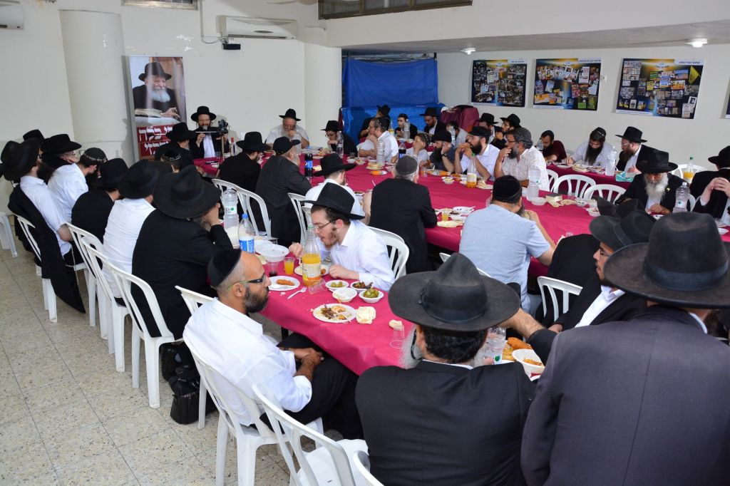 תמונה (228) (Large)